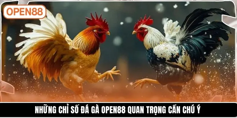 Những chỉ số đá gà OPEN88 quan trọng cần chú ý